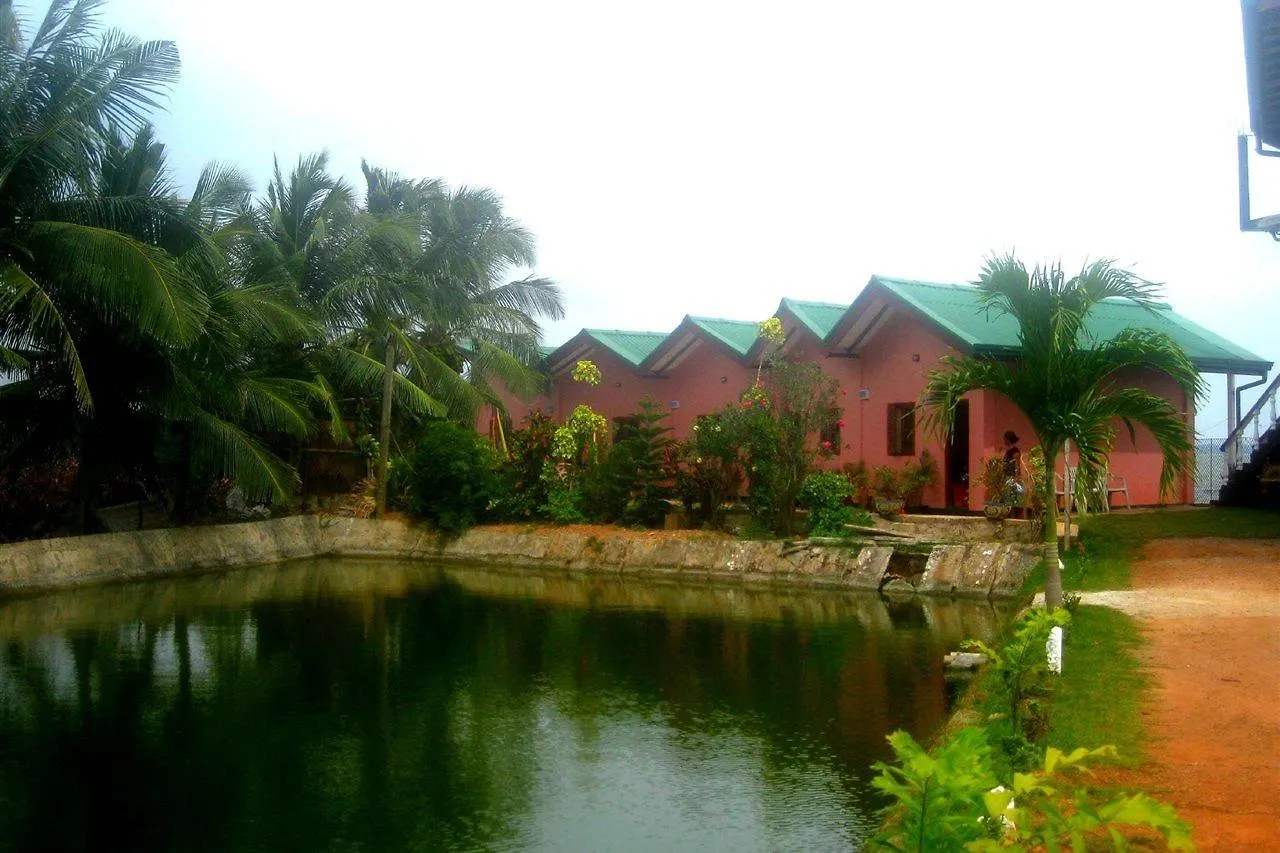 Sachal Mirs Bed And Breakfast Negombo
